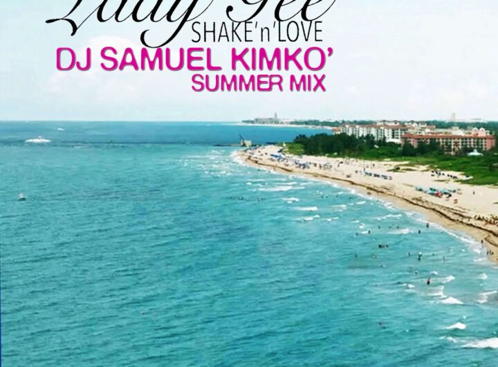 lady-gee-shake-n-love-dj-samuel-kimko-summer-mix-COVER