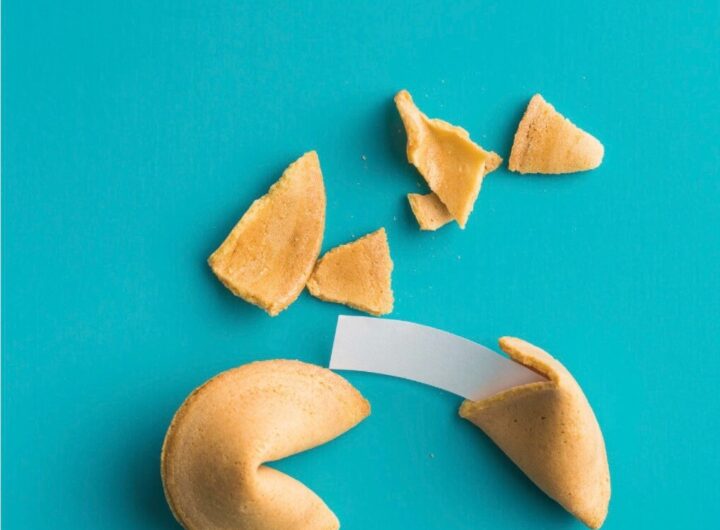 Tutto ciò che vuoi Fabio Nocchi