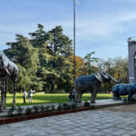 jacopo allegrucci triennale milano animali nel giardino triennale 1 ok